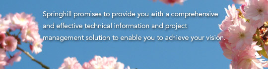 Springhills Solutions strapline